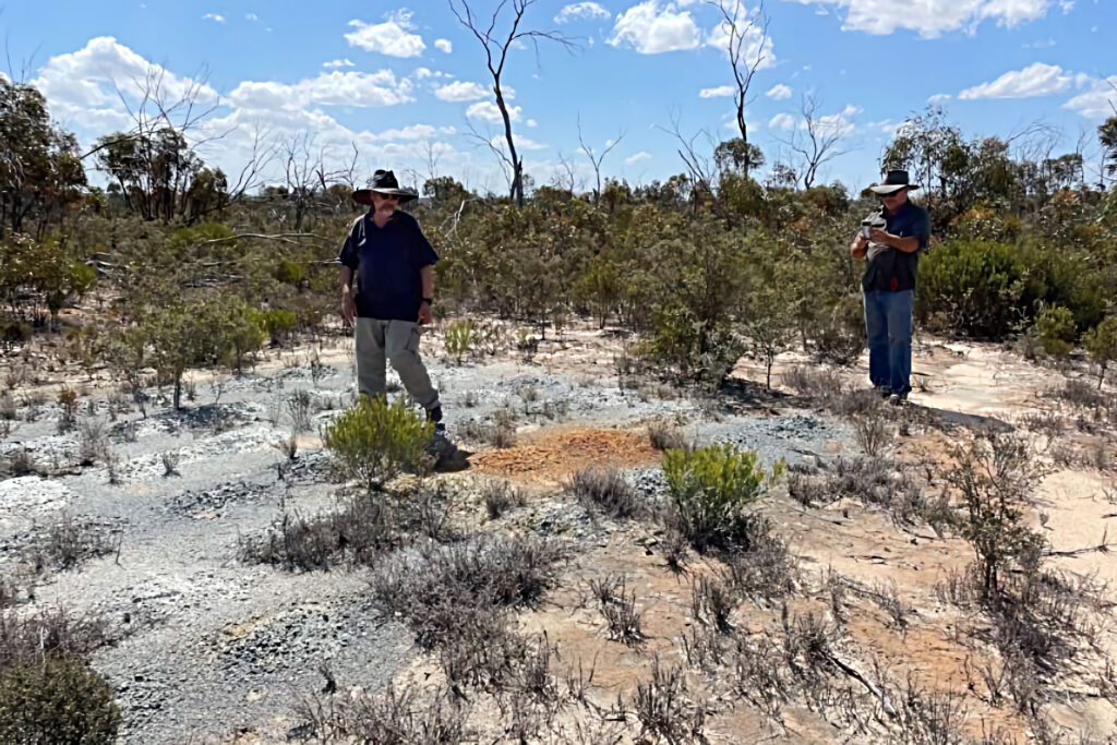 Hole-LTRC001-high-sulphide-zones-copy